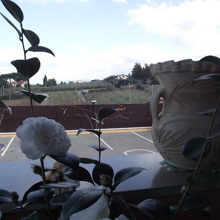 Affittacamere Stranamore Frascati Eksteriør bilde